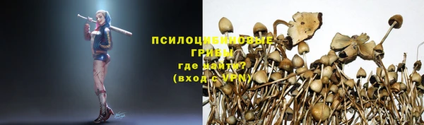 дживик Белоозёрский