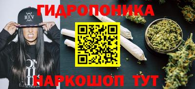 a pvp Будённовск