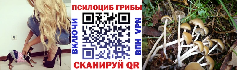 Галлюциногенные грибы мухоморы  закладка  Губкинский 