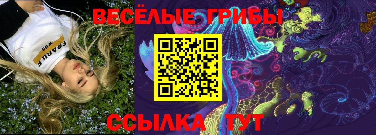Галлюциногенные грибы мицелий  Псилоцибиновые грибы GOLDEN TEACHER  Вход с VPN  хочу наркоту  Губкинский 